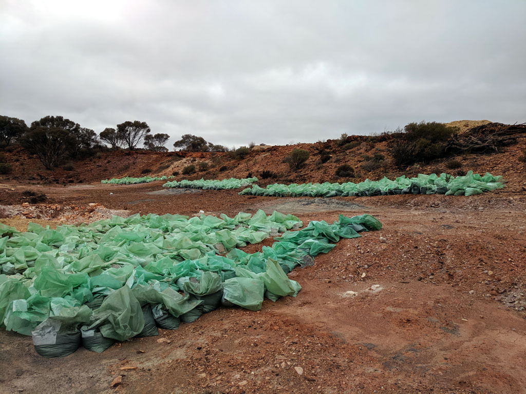 Plastic bags are banned eh - ha ha ha