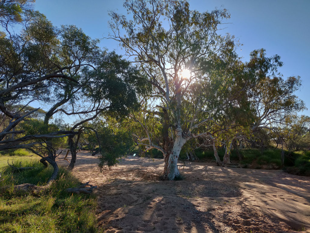 Daurie Creek at Core De Wandy