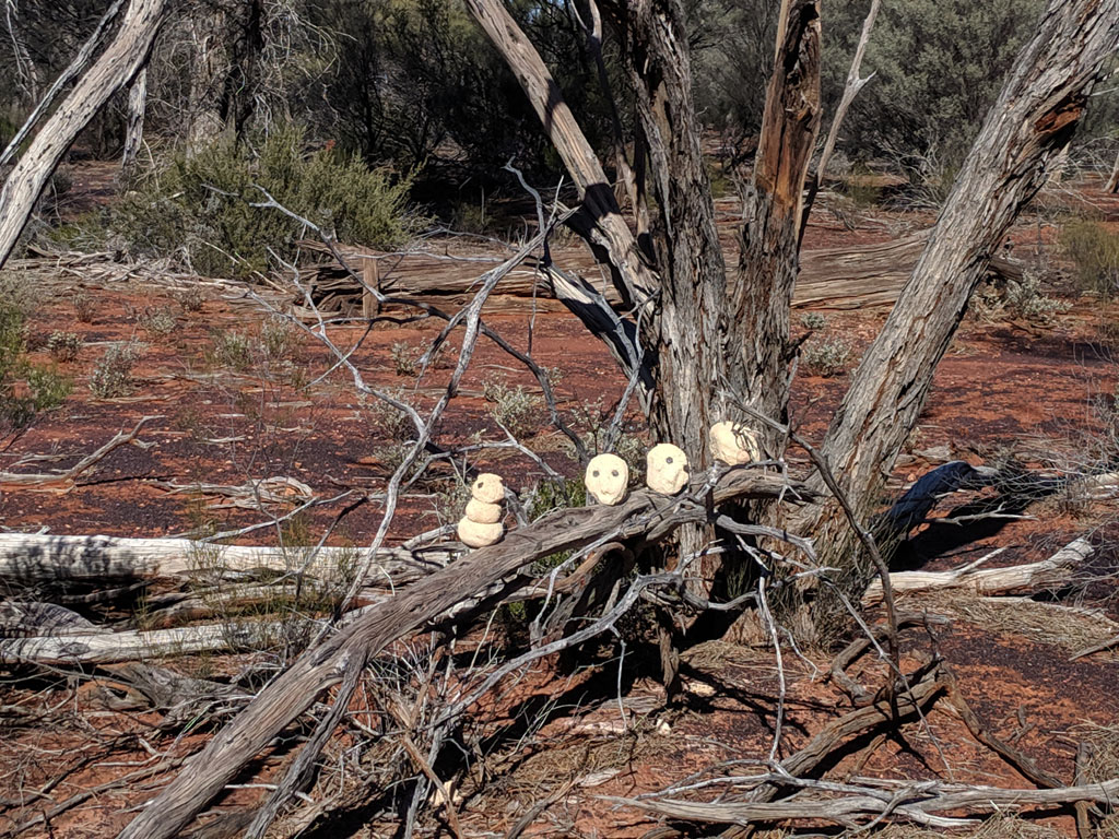 heads in the bush