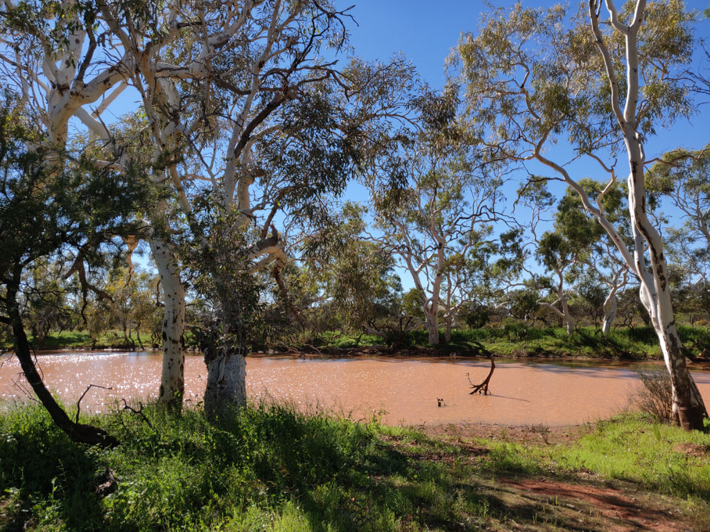 Pool on Yarra Creek