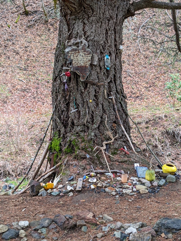 Tree offerings/remembrance
